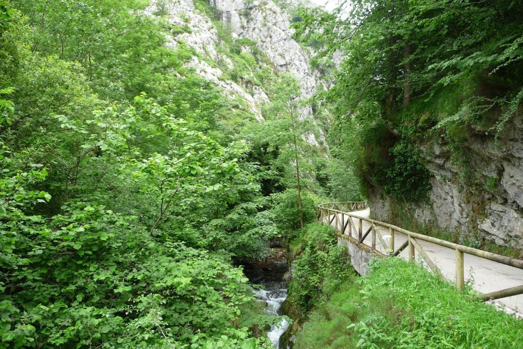 Hotel Rural El Fondon Soto De Agues Kültér fotó